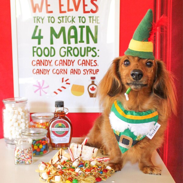 Gingham Dog Dress with Bows & Lace Trim main image 0