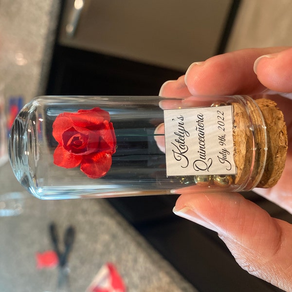 Beauty and the Beast Mini Glass Wedding Favors for Guests, Wedding ...