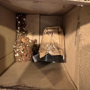 Etsy buyer added a photo of their purchase