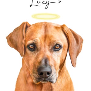 Rebecca added a photo of their purchase