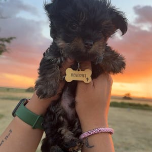 Amy added a photo of their purchase