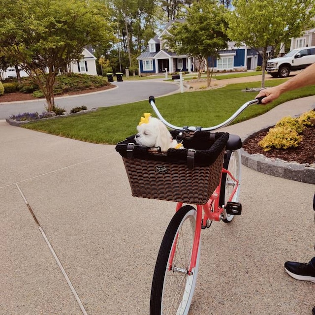 Cestino Anteriore Cani Cestino Bici Per Cani - Porta Animali Anteriore Rimovibile Con F 1013249