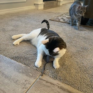 Laketa ha añadido una foto de su compra