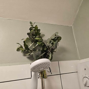 Jenny hat ein Foto des gekauften Artikels hinzugefügt