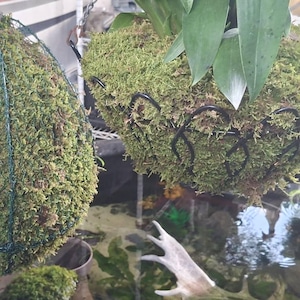 jacob added a photo of their purchase