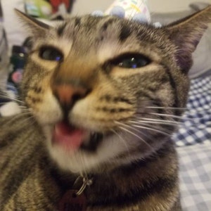 Stephanie added a photo of their purchase