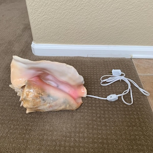 Paul added a photo of their purchase