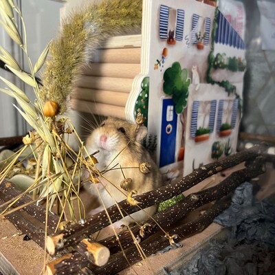 Picture of Stump Shaped Hamster Ceramics Hideout Small Pet Playhouse Supplies ...