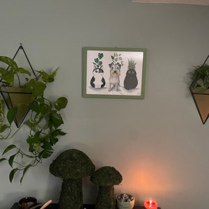 Tamra さんが購入した商品の写真を追加しました