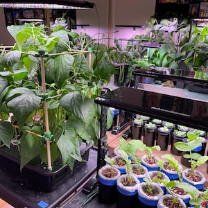 Vivian ha añadido una foto de su compra