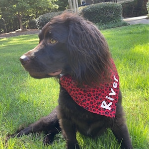Jenny added a photo of their purchase