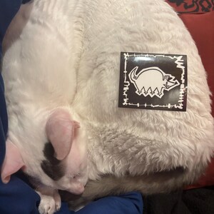 Tilo さんが購入した商品の写真を追加しました