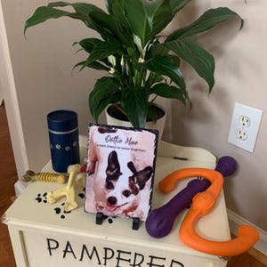 Dedra added a photo of their purchase