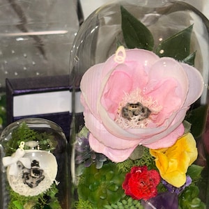 Aiyana added a photo of their purchase