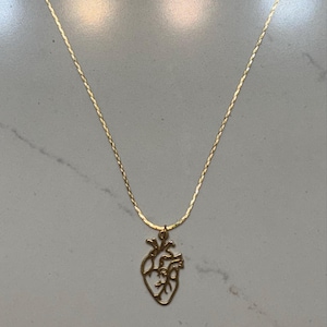 Tasnim added a photo of their purchase