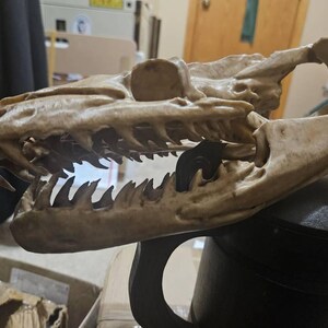 Robert added a photo of their purchase