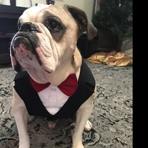 Comprador de Etsy ha añadido una foto de su compra