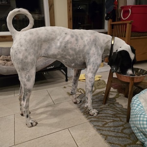 Mary added a photo of their purchase