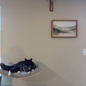 Amanda added a photo of their purchase