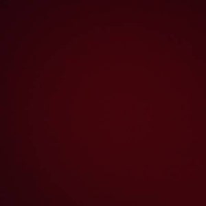 L ha añadido una foto de su compra