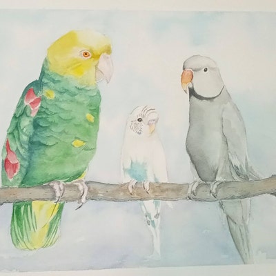 Personalized Budgie Parakeet Painting - Etsy