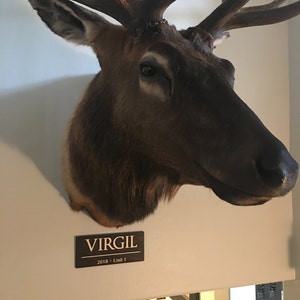 Ryan added a photo of their purchase