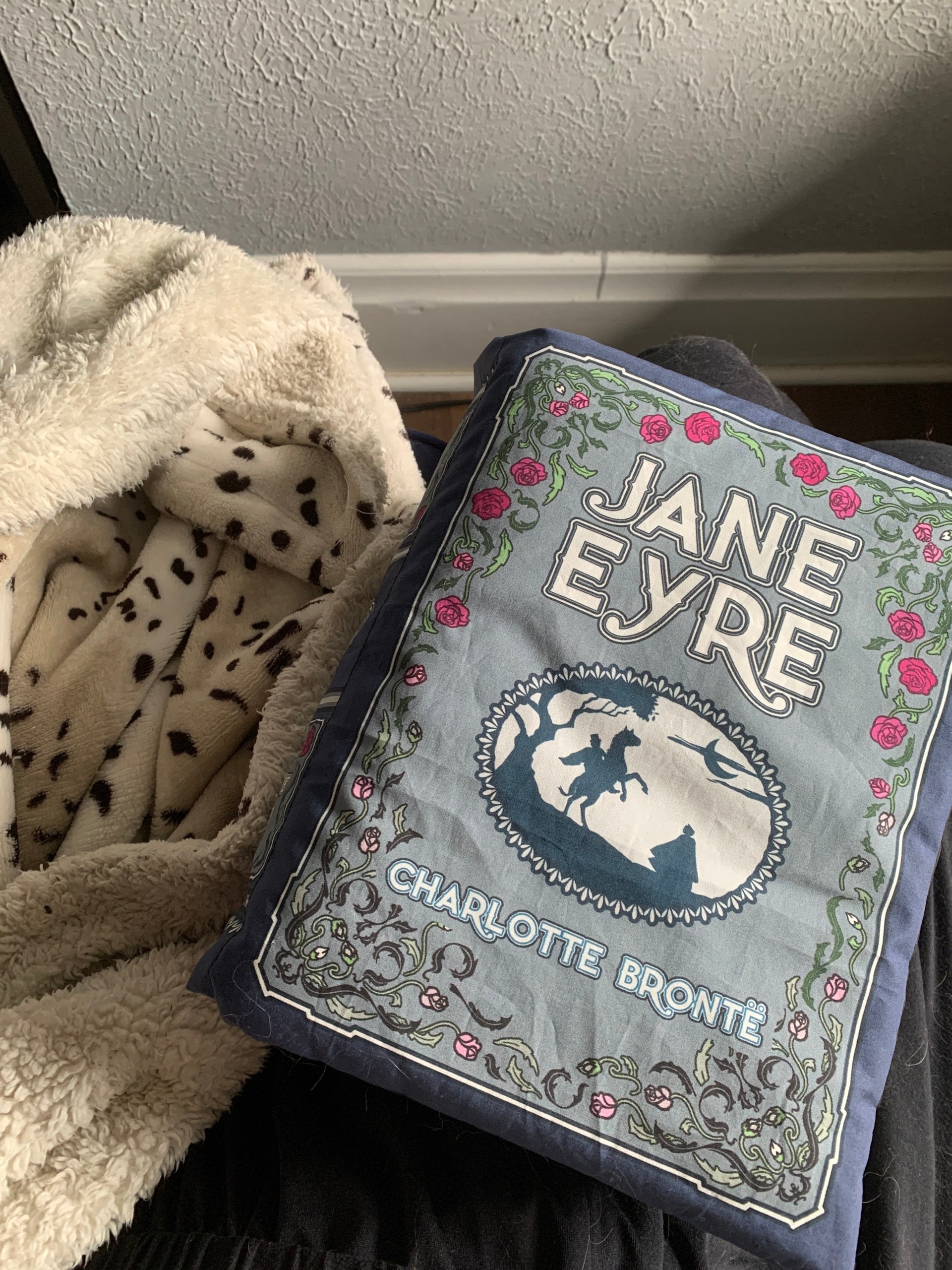 Jane Eyre Pillow Book