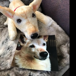 Larissa added a photo of their purchase