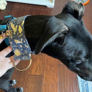 Maggy added a photo of their purchase