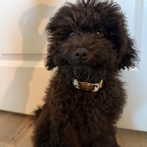 candice added a photo of their purchase