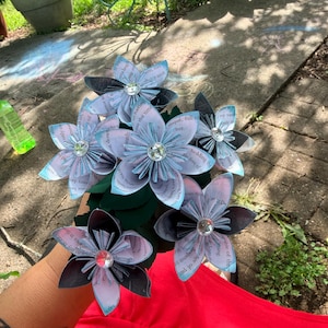 Sommer added a photo of their purchase