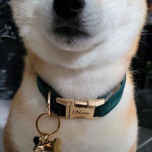 Susan added a photo of their purchase