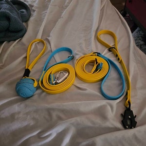 Kiley added a photo of their purchase
