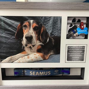 Ashley added a photo of their purchase