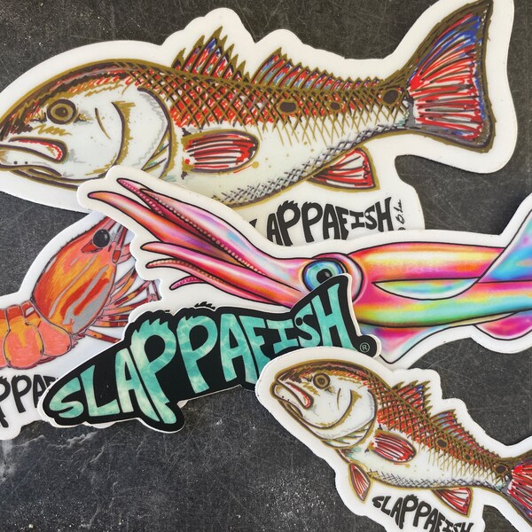 Barracuda Sticker, 10 Inch - Etsy