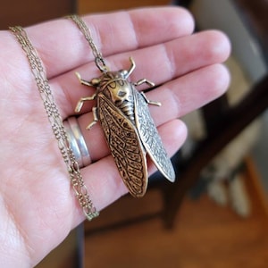 Hannah ha añadido una foto de su compra