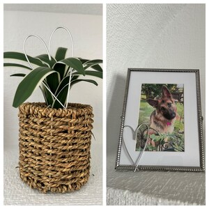 Lynda added a photo of their purchase