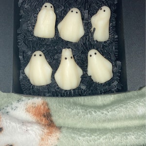 Ghostly Vanilla Soy Wax Melts Gothic Wax Melts, Ghost, Ghosts, Witchy,  Spooky, Halloween, Soy, Eco, Sustainable, Dark Academia, Witchcore 