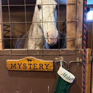 Sherry added a photo of their purchase
