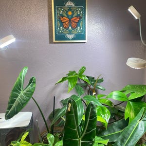 Boho Monarch Butterfly Art, Floral Folk Art and Butterfly Illustration, Native Milkweed and Sun Insect Wall Décor, Flora and Fauna Print