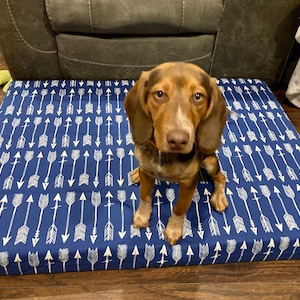 Brittany added a photo of their purchase