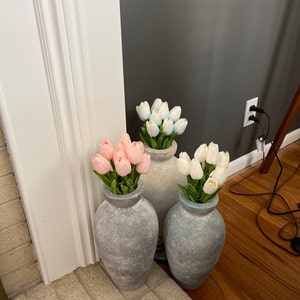 Nancy added a photo of their purchase