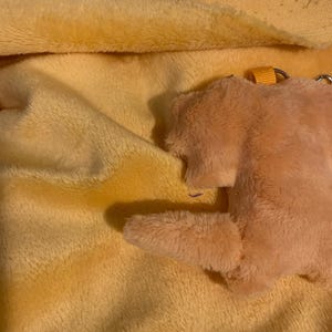 Amy hat ein Foto des gekauften Artikels hinzugefügt