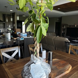 Sharyl ha añadido una foto de su compra