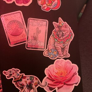 Laura added a photo of their purchase