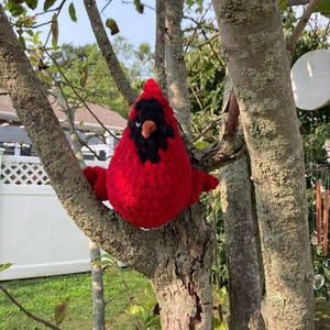 Donna added a photo of their purchase