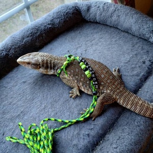 Tabitha added a photo of their purchase