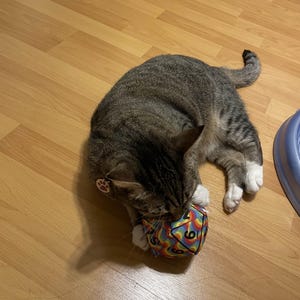 Etsy buyer added a photo of their purchase