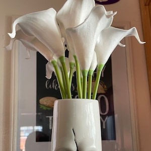 Lilia added a photo of their purchase
