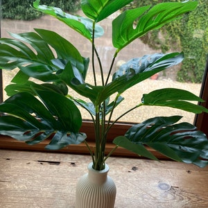 Hannah added a photo of their purchase